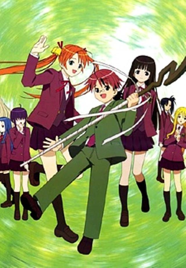 Poster for Negima!